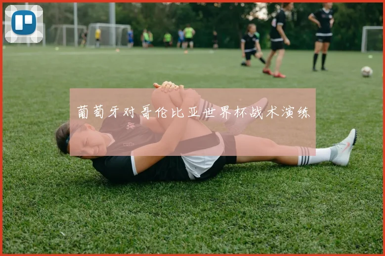 葡萄牙对哥伦比亚世界杯战术演练