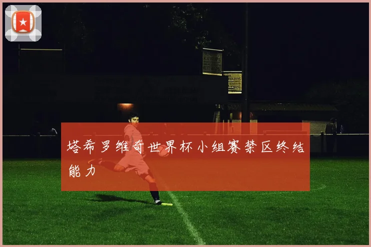 塔希罗维奇世界杯小组赛禁区终结能力