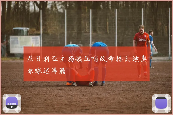 尼日利亚主场战压哨改命格瓦迪奥尔球迷沸腾