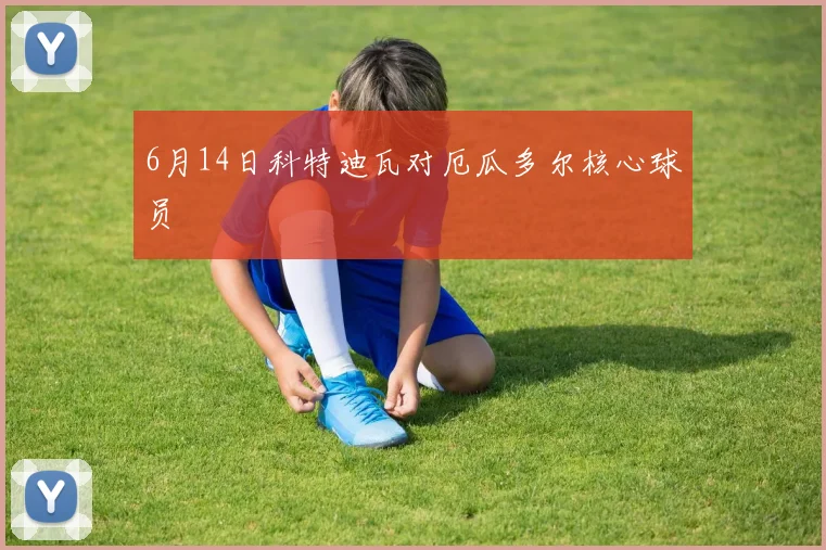 6月14日科特迪瓦对厄瓜多尔核心球员