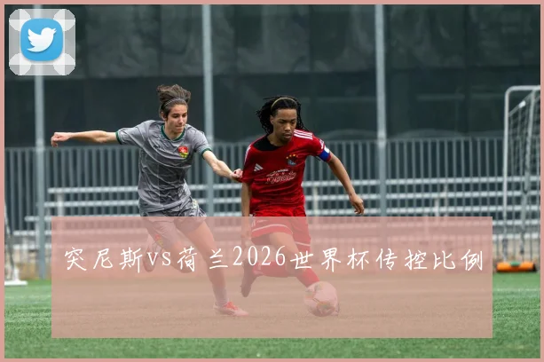 突尼斯vs荷兰2026世界杯传控比例