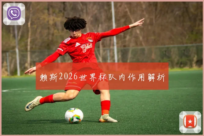 赖斯2026世界杯队内作用解析