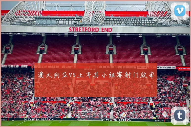 澳大利亚vs土耳其小组赛射门效率