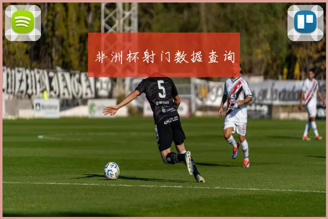 非洲杯射门数据查询