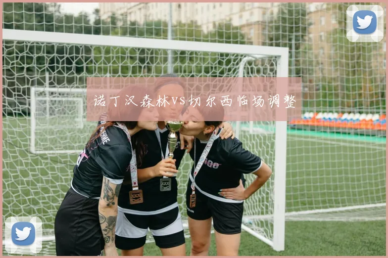诺丁汉森林vs切尔西临场调整